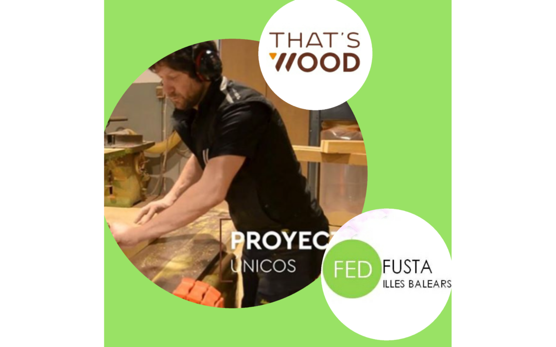Nuestro socio THAT’S WOOD estrena imagen corporativa y web
